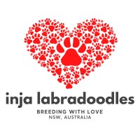Inja AUSTRALIAN  Labradoodles logo - Similar company to Jmr Creative Design