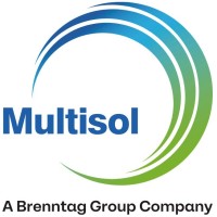 Multisol Group logo - Similar company to Nineplusone