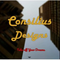 Consilius Estimating Services logo - Similar company to Excellence Estimating