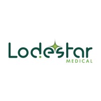 Lodestar Medical logo - Similar company to Med Equus