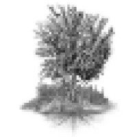 Ironwood Recovery Fund Llc