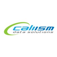 Caliism Data Solutions logo - Similar company to Silverback Data Center Solutions