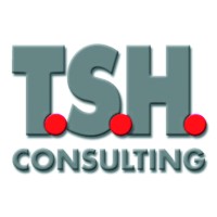 T.S.H. - Consulting logo - Similar company to Ideas Enabled