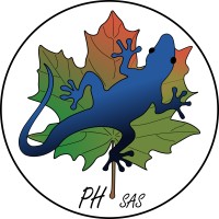 PROFESIONAL HIDRÁULICO SAS logo - Similar company to R&R Kelab Sas