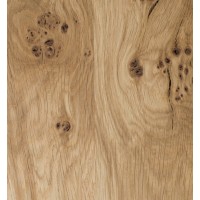 Birnam Oak logo - Similar company to Pointguard