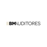 BM AUDITORES logo - Similar company to Aco Ourense