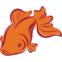 Littlefish Design logo - Similar company to Proxauto By Elite Auto