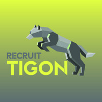 Recruit Tigon logo - Similar company to Selectd B E Recruitment