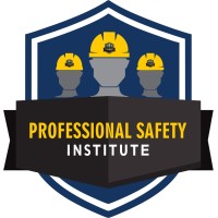 NSI Academy logo - Similar company to National Vocational Training Institute - Nvti