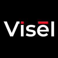 Visel logo - Similar company to Guardics