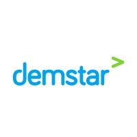 Demstar Business Solutions logo - Similar company to Next Cosmos Technology