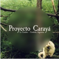 Proyecto Carayá logo - Similar company to Reserva Pumakawa