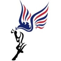 Pegasus Technical Group logo - Similar company to Electronics Service Inc.