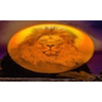 Saving The Lion Foundation