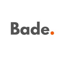 Bade Consulting logo - Similar company to Game Park Limited