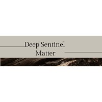 Deep Sentinel Matter logo - Similar company to Thinkedge Analytics