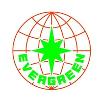 EVERGREEN LINE logo - Similar company to One Marine