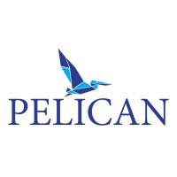Pelican Advisors, Inc. logo - Similar company to Pelican Advisors, Llc