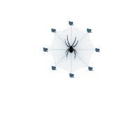 Spidernet Computers and Communication Solution logo - Similar company to Spidernet