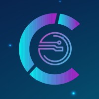 Customs Innovation Hub logo - Similar company to Bms Customs System®