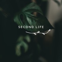 Second Life Candles LLC logo - Similar company to Wesworld