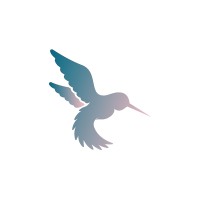Hisenberg CS logo - Similar company to The Coach Founder