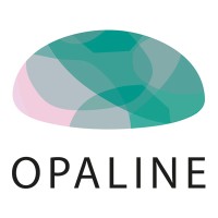 Opaline Limited logo - Similar company to Hellowallet