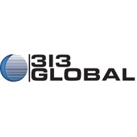 313 Global logo - Similar company to Lumiocean