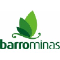 Grupo Barrominas logo - Similar company to Kanechom