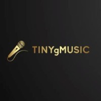 TINYgMUSIC Productions logo - Similar company to Sky720