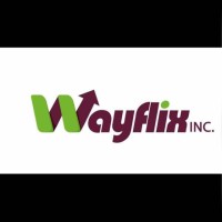 Wayflix Zimbabwe
