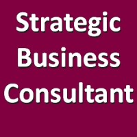 Strategic Business Consultant logo - Similar company to Dkode Global