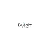 Bluebird Capital logo - Similar company to Harrper Projects
