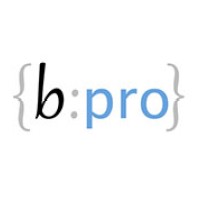 bPro shpk logo - Similar company to Support Chain