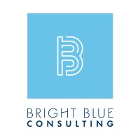 Bright Blue Consulting, LLC logo - Similar company to Drivealot