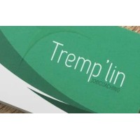 Tremp'lin logo - Similar company to Tremplin Numerique