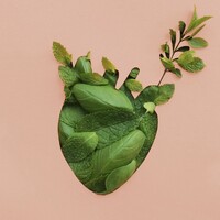 Cœurveillé logo - Similar company to Alyscamps