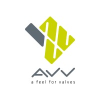 A.V.V. Added Value for Valves logo - Similar company to Tecsi Srl