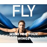 Wind For Your Wings logo - Similar company to Vibrant Education