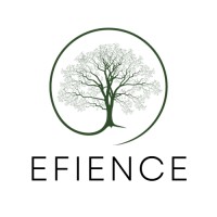 Efience logo - Similar company to Storeit Lockers