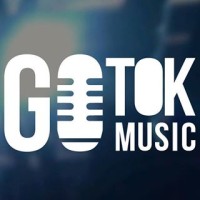 Gotok Music SAS logo - Similar company to Acura Logistics