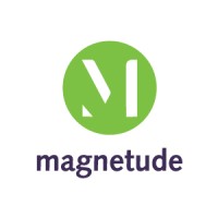 Magnetude Consulting logo - Similar company to Eo Boston