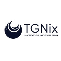 TGNix.co logo - Similar company to Cross Virtue