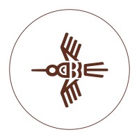 BarSol Pisco logo - Similar company to Capurro Pisco