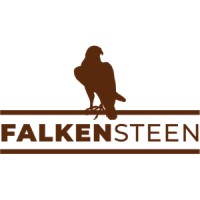 Falkensteen logo - Similar company to Hiiyou.Org