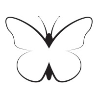 Taylor Rae Designs logo - Similar company to Safari Land