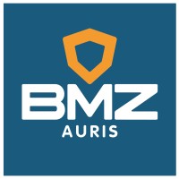BMZ Auris - Unidade Niterói logo - Similar company to Todeschini Niterói