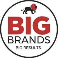 Big Brands logo - Similar company to Salt Light Collab