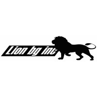 Lion Bg Inc