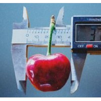 CherryConsult logo - Similar company to Cherryconsulting